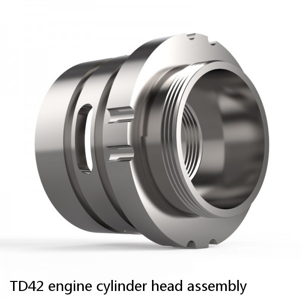 TD42 engine cylinder head assembly