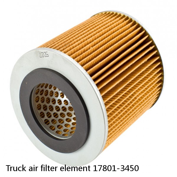 Truck air filter element 17801-3450