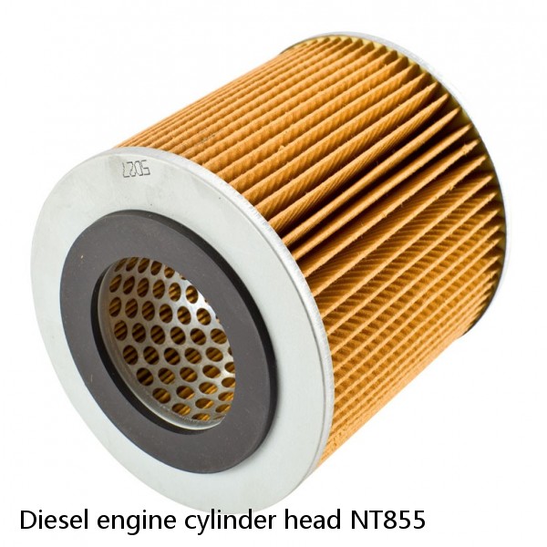 Diesel engine cylinder head NT855