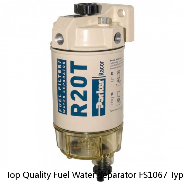 Top Quality Fuel Water Separator FS1067 Types Of Fuel Filter For Nt855 Diesel Engine #1 image