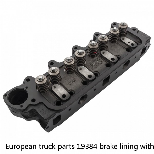 European truck parts 19384 brake lining with rivets #1 image
